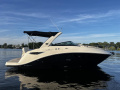 Sea Ray 265 DAE Motoryat