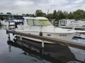 Sessa Dorado 28 Motoryat