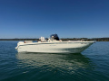 Invictus FX 240 Yacht a motore