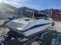Sea Ray 260 CC Sportboot