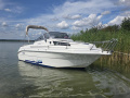 Drago Fiesta 540 Sport boat