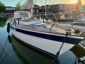 Hallberg-Rassy 312 Segelyacht