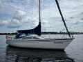 Dehler 34 Top Sailing yacht