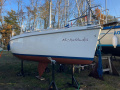 Sasanka 660 Supernova Jacht żaglowy