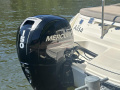 Mercury Moteur Mercury Hors-bord
