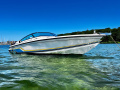 Formula 206 LS Sportboot