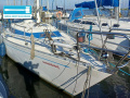 Standfast 33 Segelyacht