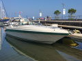 Sea Ray Pachanga 27 Sportboot