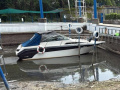 Sea Ray 250 DA Semicabinato