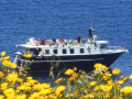 Ascolani Diving Passagiersschip