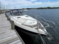 Cranchi Endurance 41 Sportboot