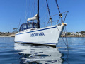 Steel Monohull 43ft Purjejahti