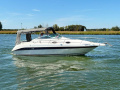 Sea Ray 250 Sundancer Motorjacht