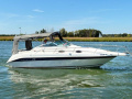 Sea Ray 250 Sundancer Motor yacht