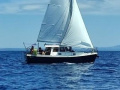 Haber 660 Jedrilica
