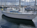 Dehler 31 Yelkenli yat