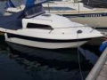 Searider Weekend 520 Sportboot