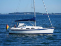 Hallberg-Rassy 310 Segelyacht