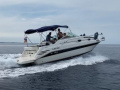 Sea Ray 250 Sundancer Yacht a motore