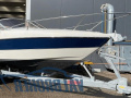 Absolute 25 Sportboot
