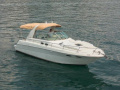 Sea Ray 310 SUNDANCER Motoscafo