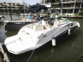 Sea Ray 260 Sun Deck Motor yacht