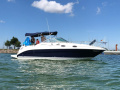 Sea Ray 260 Sundancer Motoryacht
