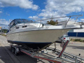 Sea Ray 250 EXPRESS CRUISER Motoros yacht