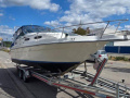 Sea Ray 250 EXPRESS CRUISER Motoryacht