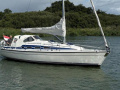 Dehler 37 Yelkenli yat
