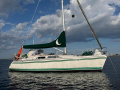 Comfortina 35 Segelyacht