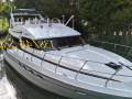Neptunus 138/46 Sedan Fly Flybridge Flybridge