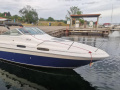 Sea Ray 230 Yacht à moteur