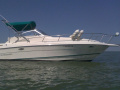 Rinker 280 Fiesta Vee Kajütboot