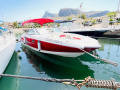 Chaparral 284 Sunesta Sporta laiva
