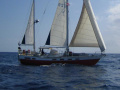 Wauquiez Amphitrite Segelyacht
