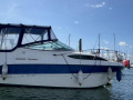 Bayliner 245 Motor yacht