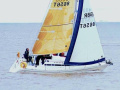 Hanse 301 Segelyacht