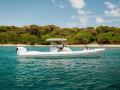 Scorpion Twisted 34T RIB