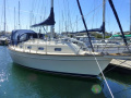 Island Packet 320 Segelyacht
