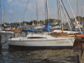 Bavaria 606 Daysailer