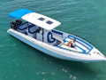 Aldhaen Craft 310cc Αθλητικό σκάφος