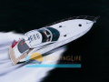 Sunseeker Portofino 53 MKII Sportboot