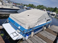 Sea Ray Semicabinato Cabinato