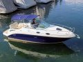 Sea Ray 255 Sundancer Kajütboot