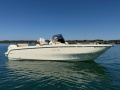 Invictus FX 240 mit 1 x GPM 150 PS Au&szlig;enborder mi Bowrider