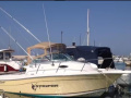 Seaswirl Striper Bateau à cabine
