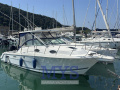 Wellcraft 290 Coastal FB Sürat teknesi