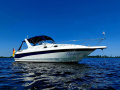 Monterey 296 Cruiser Motoryat