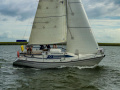 Dehler 31 Top Yelkenli yat